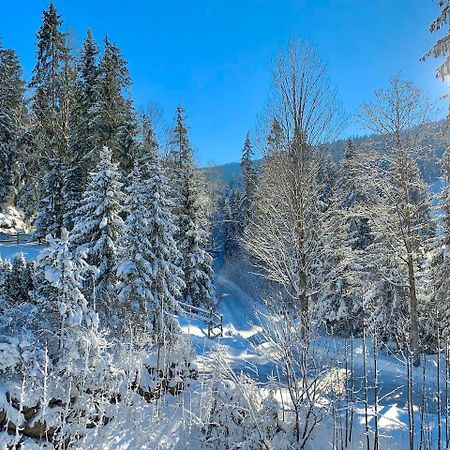 Haus Widmann Διαμέρισμα Scheffau am Wilden Kaiser Εξωτερικό φωτογραφία