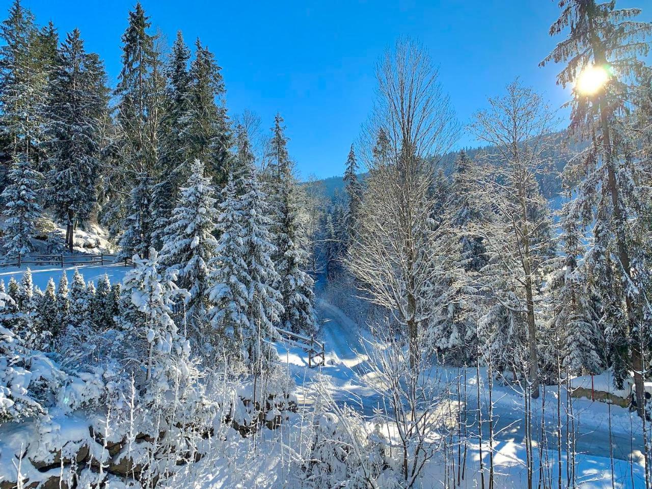 Haus Widmann Διαμέρισμα Scheffau am Wilden Kaiser Εξωτερικό φωτογραφία